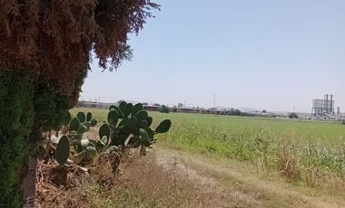 Casa - Pedro Escobedo