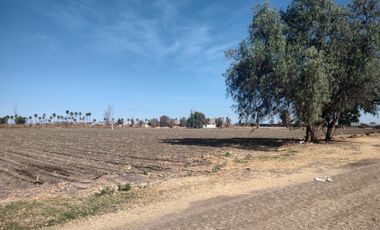 Casa - Pedro Escobedo