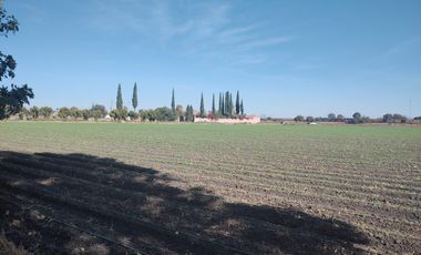 Casa - Pedro Escobedo