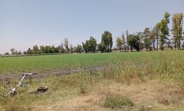 Casa - Pedro Escobedo