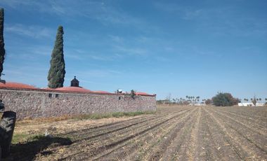 Casa - Pedro Escobedo