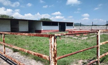 Finca - Pueblo San Antonio La D