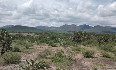 Finca - Pueblo San Antonio La D