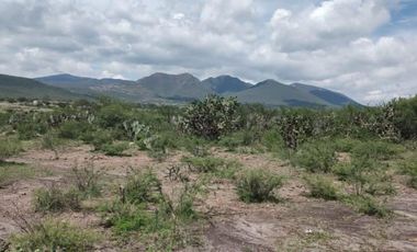 Finca - Pueblo San Antonio La D