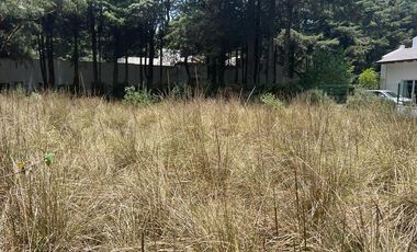 Terreno - Ex-hacienda Jajalpa
