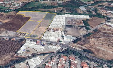 Venta Terreno - Jiutepec, Morelos
