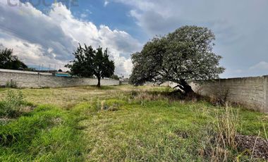 Terreno en venta con casco de hacienda en Perote Veracruz