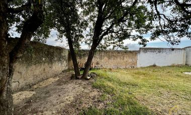 Terreno en venta con casco de hacienda en Perote Veracruz