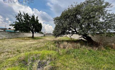 Terreno en venta con casco de hacienda en Perote Veracruz