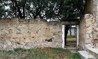 Terreno en venta con casco de hacienda en Perote Veracruz