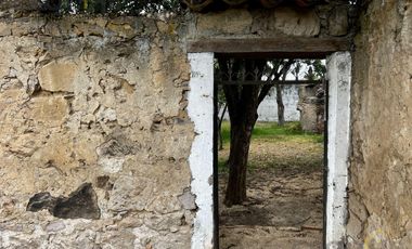 Terreno en venta con casco de hacienda en Perote Veracruz