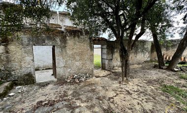 Terreno en venta con casco de hacienda en Perote Veracruz
