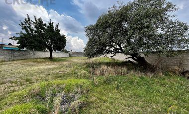Terreno en venta con casco de hacienda en Perote Veracruz