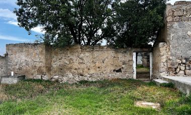 Terreno en venta con casco de hacienda en Perote Veracruz