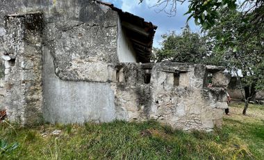 Terreno en venta con casco de hacienda en Perote Veracruz
