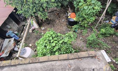 Terreno  en renta amplio en zona Centro de Omealca, Veracruz