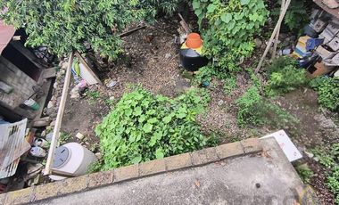 Terreno  en renta amplio en zona Centro de Omealca, Veracruz