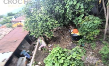Terreno  en renta amplio en zona Centro de Omealca, Veracruz
