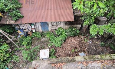 Terreno  en renta amplio en zona Centro de Omealca, Veracruz