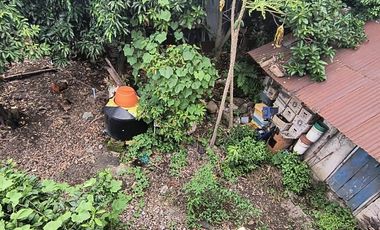 Terreno  en renta amplio en zona Centro de Omealca, Veracruz