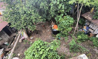 Terreno  en renta amplio en zona Centro de Omealca, Veracruz