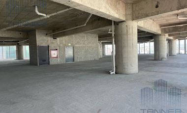RENTA DE LOCALES OBRA GRIS , CENTRO COMERCIAL EN POLANCO , CUALQUIER GIRO