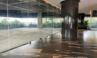 RENTA DE LOCALES OBRA GRIS , CENTRO COMERCIAL EN POLANCO , CUALQUIER GIRO