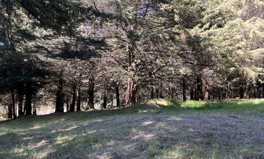 Terreno en  venta para construir 1 o 7 casas