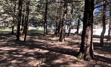 Terreno en  venta para construir 1 o 7 casas