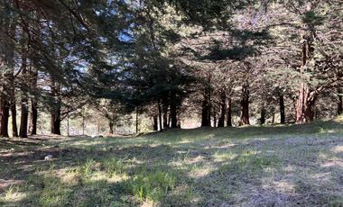 Terreno en  venta para construir 1 o 7 casas