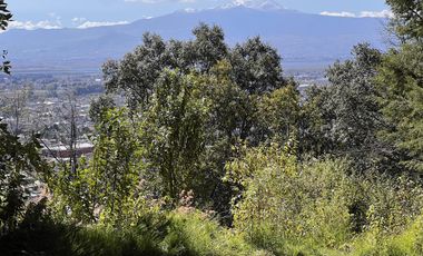 Terreno en  venta para construir 1 o 7 casas