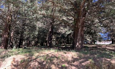Terreno en  venta para construir 1 o 7 casas