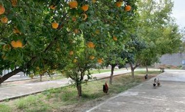 QUINTA CADEREYTA JIMENEZ VENTA