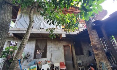 Casa - Bacalar