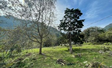 Terreno en venta en el Mpio. de Coacoatzintla zona de Chayotepec