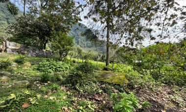 Terreno en venta en el Mpio. de Coacoatzintla zona de Chayotepec