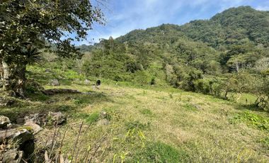 Terreno en venta en el Mpio. de Coacoatzintla zona de Chayotepec