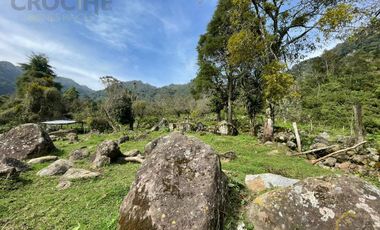 Terreno en venta en el Mpio. de Coacoatzintla zona de Chayotepec