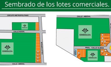 Local - Santa María