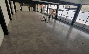 Local - Metepec