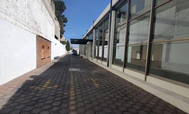 Local - Metepec
