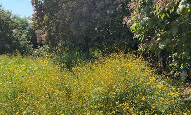 Terreno en Pueblo Ahuatepec