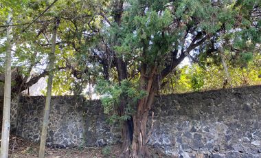 Terreno en Pueblo Ahuatepec
