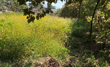 Terreno en Pueblo Ahuatepec