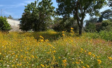 Terreno en Pueblo Ahuatepec