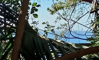 Terreno - Amapas