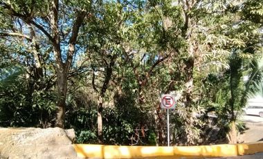 Terreno - Amapas