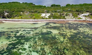 Terreno en Venta segunda linea de mar en Mahahual Entrega Inmediata
