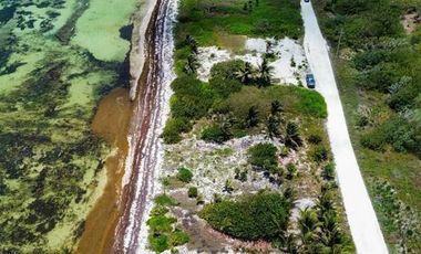 Terreno en Venta segunda linea de mar en Mahahual Entrega Inmediata