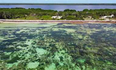Terreno en Venta segunda linea de mar en Mahahual Entrega Inmediata